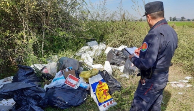 I rifiuti della ristrutturazione finiscono nell’oasi di Torrile, i Carabinieri Forestali individuano e sanzionano il responsabile.