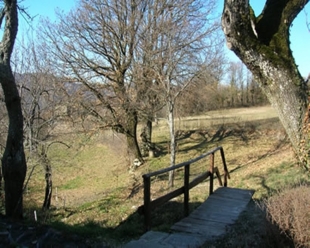 Agriturismo Ca’ d’Alfieri, vivere la natura