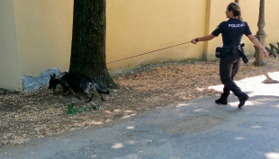 Polizia di Stato impegnata nel contrasto allo spaccio: sequestri e la chiusura di un bar in Via Trento