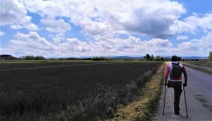 Una gamba per i 1.000 km della Francigena