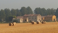 Fallibilità Agricola