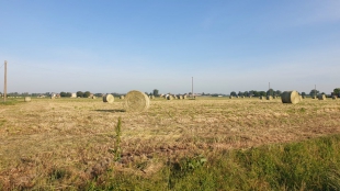 Agricoltura. Prestiti agevolati per 95 milioni di euro