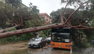 Foto protezionecivile.comunecervia.it/