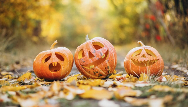 Halloween. È davvero “FESTA”?