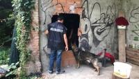 Oltre 20 unità dei carabinieri in servizio coordinato Oltretorrente, Via Langhirano  e San Leonardo