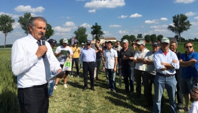 Demo Frumento 2017: il Consorzio Agrario di Parma mette in campo le migliori tecniche per l&#039;eccellenza colturale dei cereali