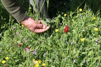 In Appennino la banca del carbonio sottratto all&#039;atmosfera. &quot;Proponiamo premi per gli agricoltori&quot;