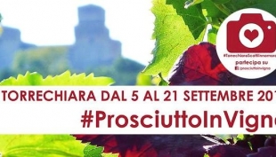 Parma - Al via il Palio Fotografico di &quot;Prosciutto in Vigna&quot;