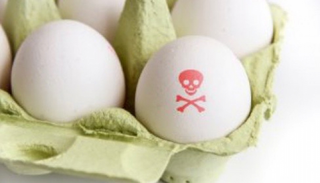 Uova contaminate, aumenta il numero dei richiami - i lotti