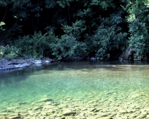 Giornata mondiale Acqua: insostenibili i livelli di pressione umana sulle risorse idriche